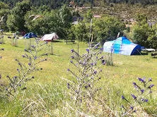 Bio Verdon