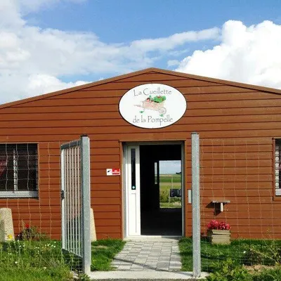 La Cueillette de la Pompelle