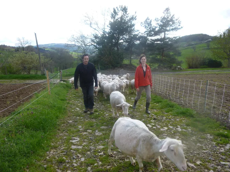 LA BERGERIE DE PIERO ET MANO