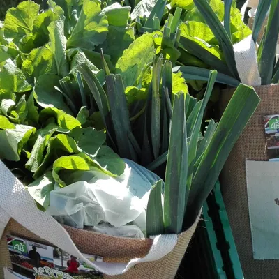 Le Potager de Fontjalabert