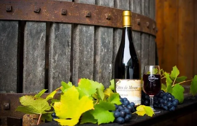 Domaine de la Goulotte