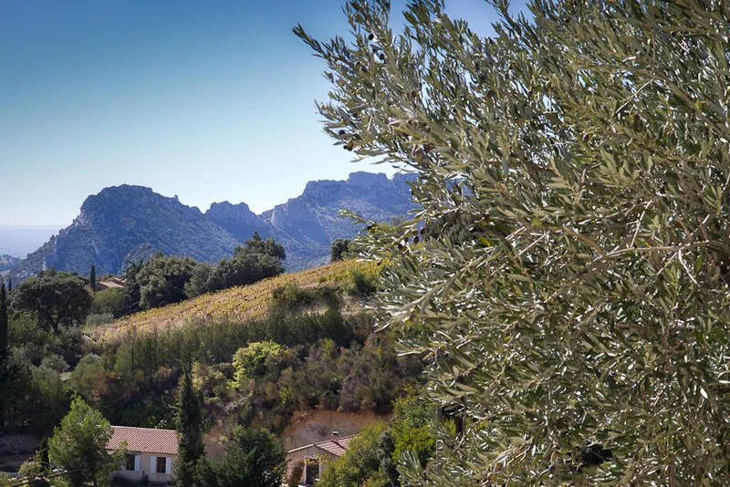 LA FERME SAINT MARTIN