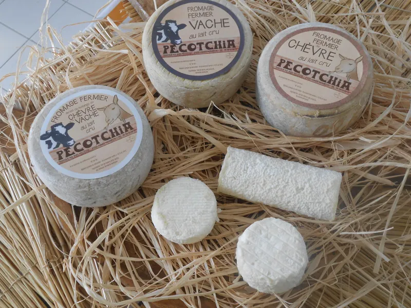 Pecotchia