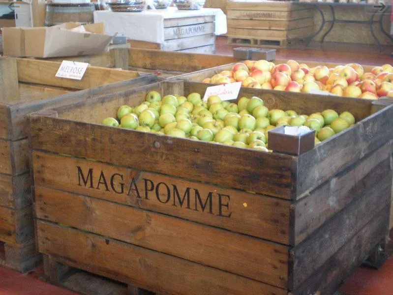 MAGAPOMME