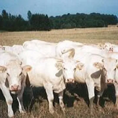 Ferme Béatrice et Maurice HEIM