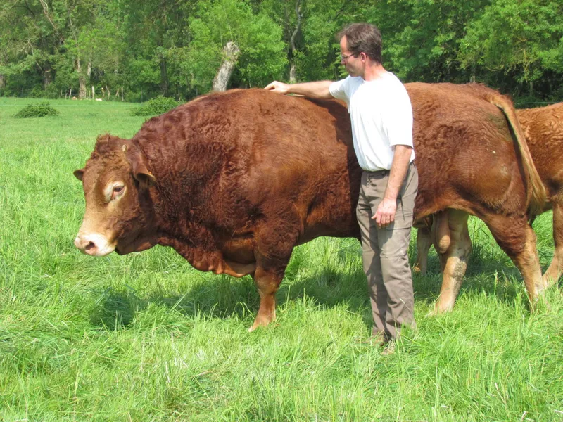 Ferme de Villiers