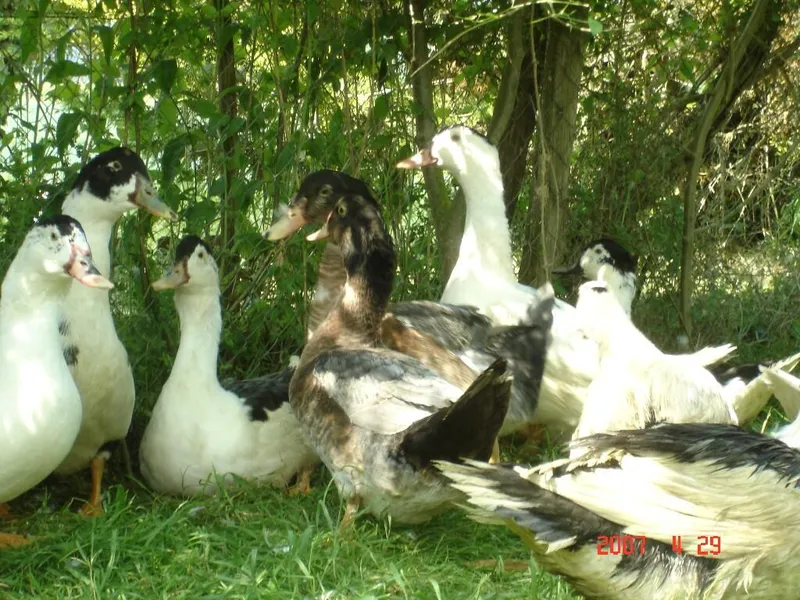 La Ferme de Gagnet