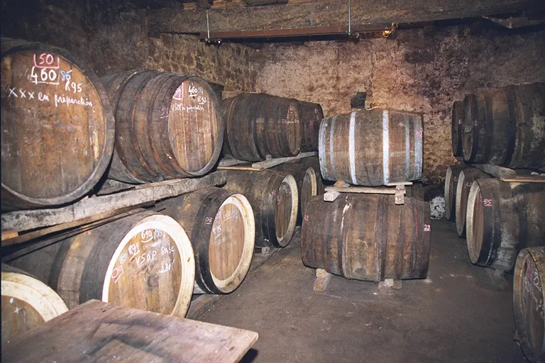 Vignoble CHAURAUD