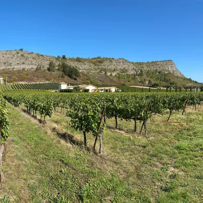Domaine de TRESBAUDON
