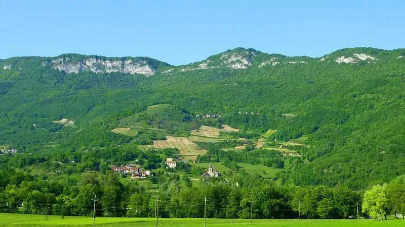 Domaine Million Rousseau