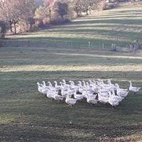 Ferme de Chabrat