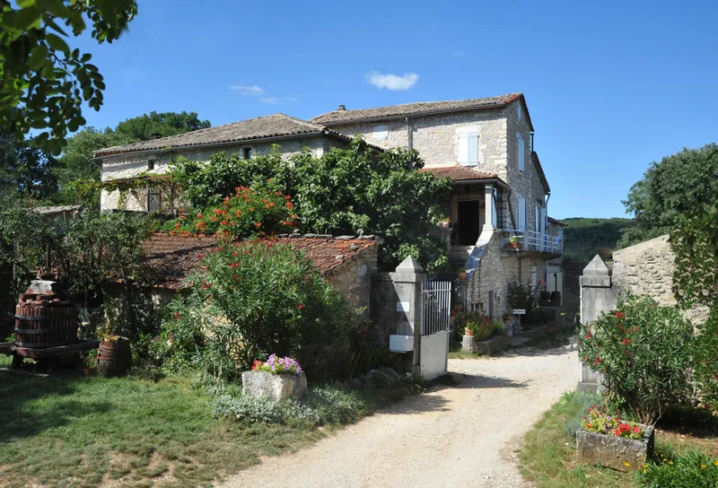 DOMAINE VIGNE