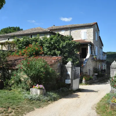 DOMAINE VIGNE