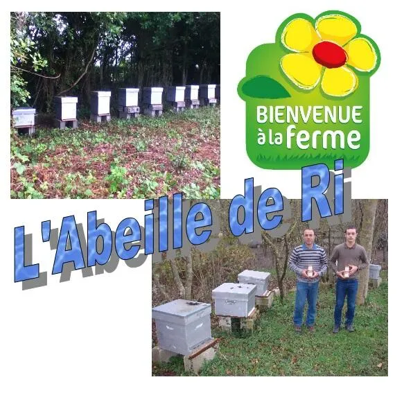 L'Abeille de Ri