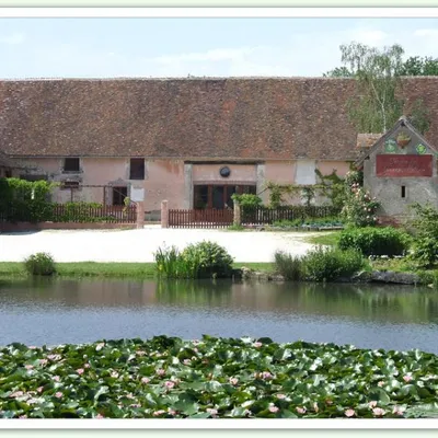 Ferme Chevrette et Grenouillette