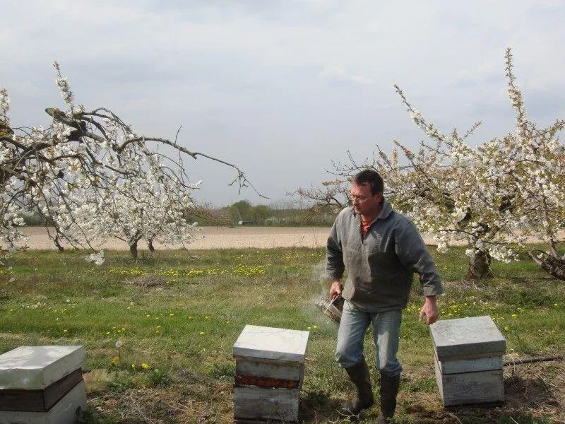 Au Vent des Abeilles