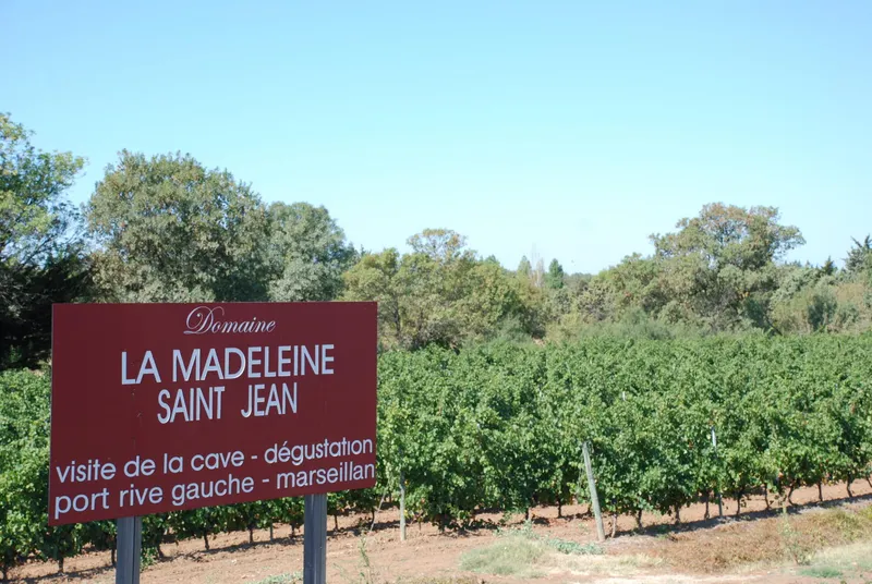 Domaine La Madeleine St Jean