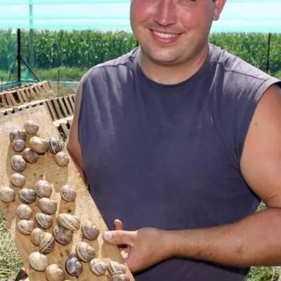 LES ESCARGOTS D'EBERSHEIM