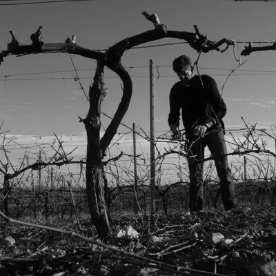 Domaine de Querelle