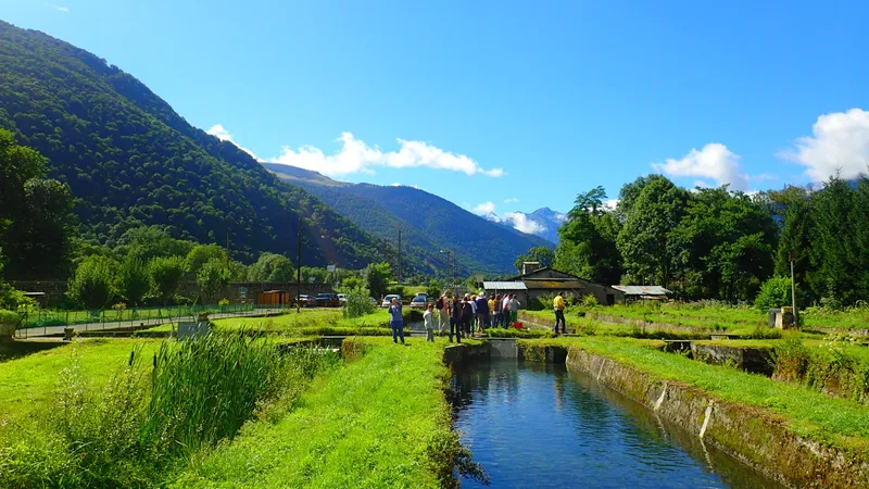 Pisciculture Les viviers du Comminges