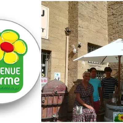 Domaines Mousset