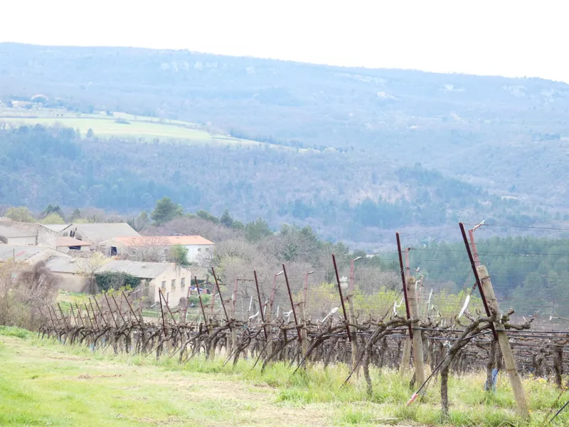 DOMAINE ALLOIS