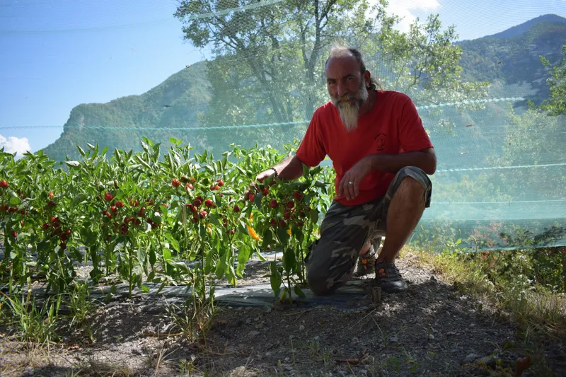 La Ferme des 3 buis