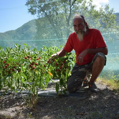 La Ferme des 3 buis