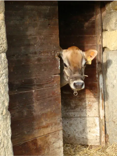 Ferme des Délices de Belledonne