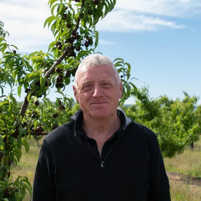 Domaine Bouteille