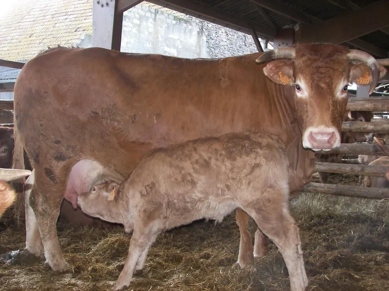 Ferme OBRECHT