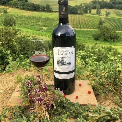 Domaine de Lagajan