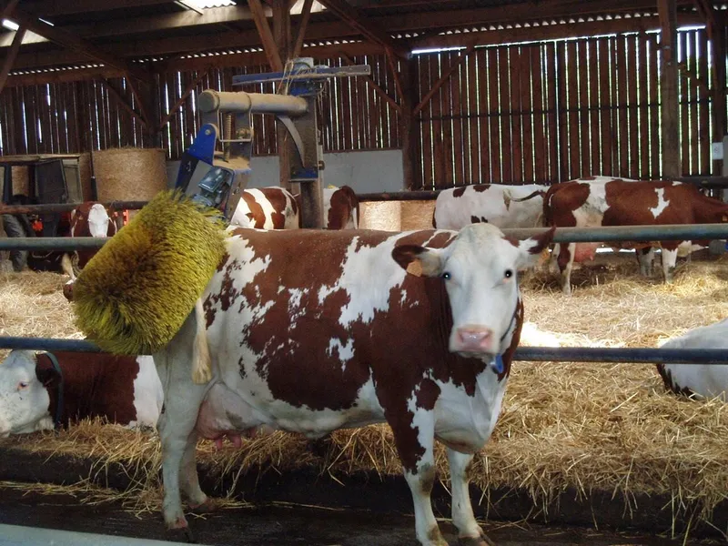 Ferme les 13 fontaines