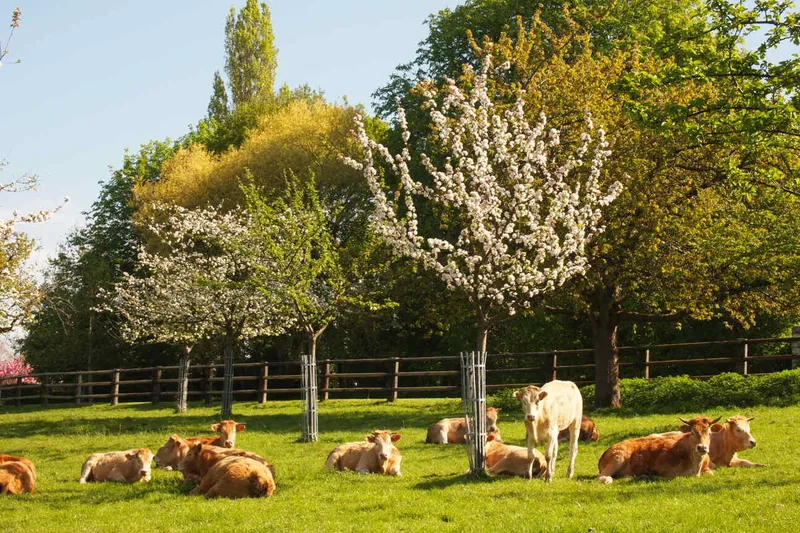 Manoir d'Apreval