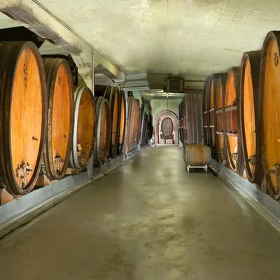 DOMAINE BLANCK Robert