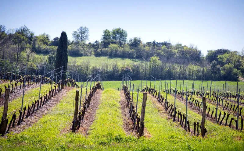 DOMAINE LES JEANNETERRES